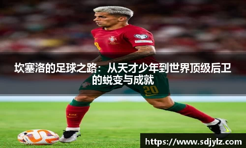 坎塞洛的足球之路:从天才少年到世界顶级后卫的蜕变与成就
